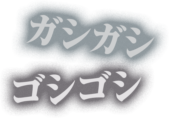 ガシガシゴシゴシ