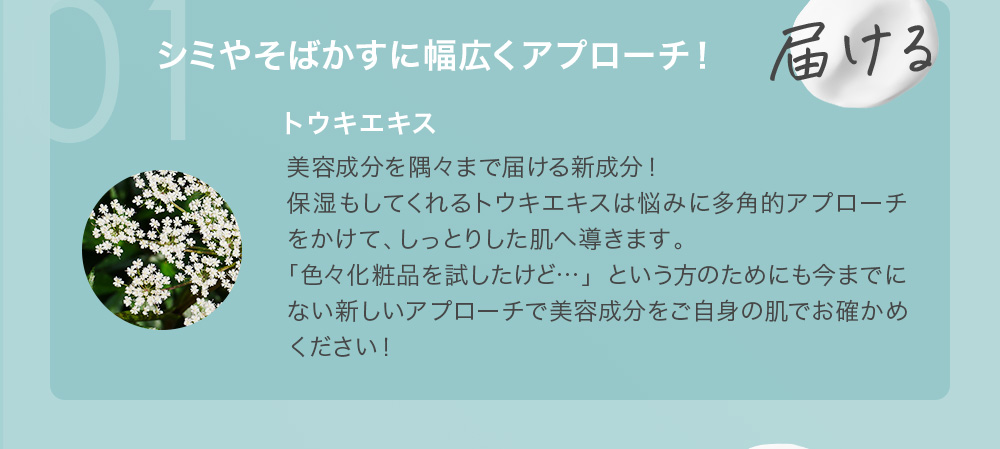 01 届ける シミやそばかすに幅広くアプローチ！ トウキエキス