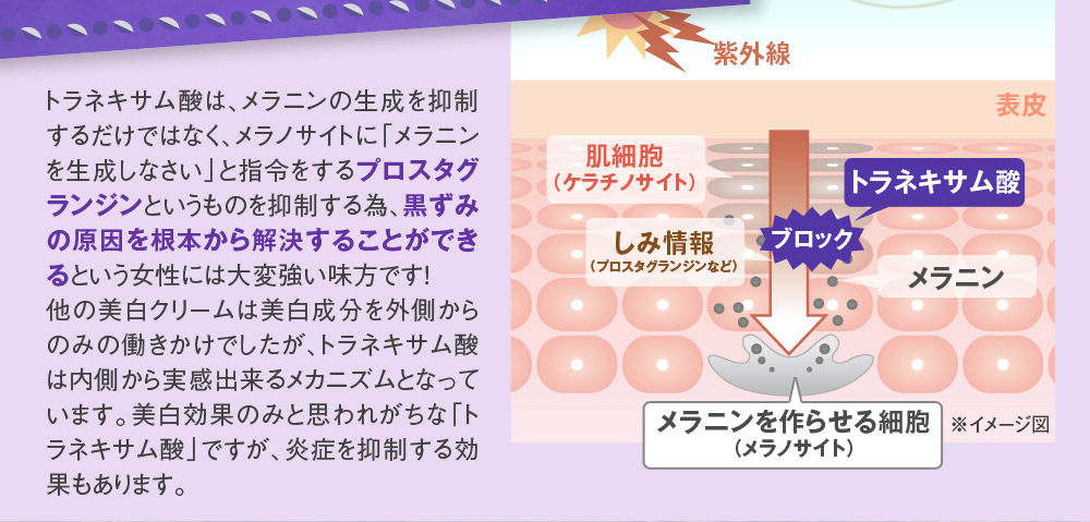 トラネキサム酸は、メラニンの生成を抑制するだけではなく、メラノサイトに「メラニンを生成しなさい」と指令をするプロスタグランジンというものを抑制する為、黒ずみの原因を根本から解決することができるという女性には大変強い味方です！　他の美白クリームは美白成分を外側からのみの働きかけでしたが、トラネキサム酸は内側から実感出来るメカニズムとなっています。美白効果のみと思われがちな「トラネキサム酸」ですが、炎症を抑制する効果もあります。