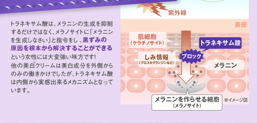 トラネキサム酸は、メラニンの生成を抑制するだけではなく、メラノサイトに「メラニンを生成しなさい」と指令をするプロスタグランジンというものを抑制する為、黒ずみの原因を根本から解決することができるという女性には大変強い味方です！　他の美白クリームは美白成分を外側からのみの働きかけでしたが、トラネキサム酸は内側から実感出来るメカニズムとなっています。美白効果のみと思われがちな「トラネキサム酸」ですが、炎症を抑制する効果もあります。