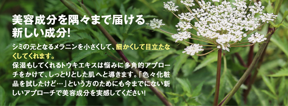 美容成分を隅々まで届ける新しい成分！　シミの元となるメラニンを小さくして、細かくして目立たなくしてくれます。保湿もしてくれるトウキエキスは悩みに多角的アプローチをかけて、しっとりとした肌へと導きます。「色々化粧品を試したけど…」という方のためにも今までにない新しいアプローチで美容成分を実感してください！