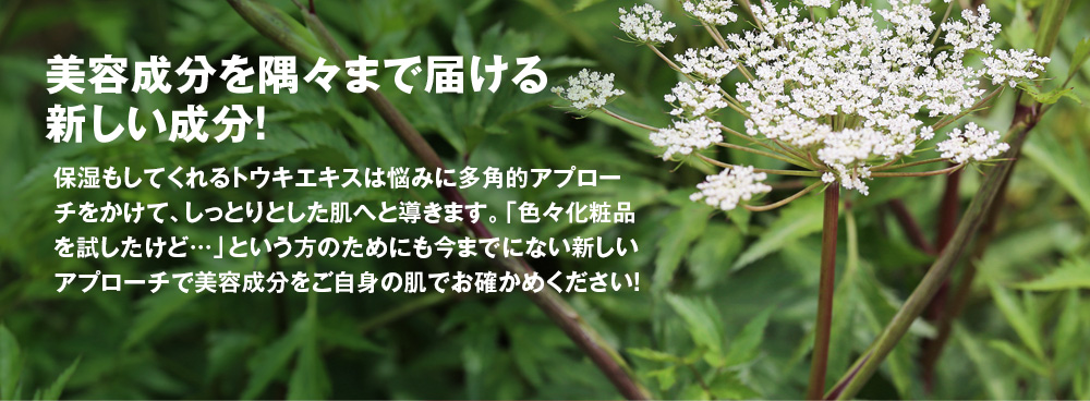 美容成分を隅々まで届ける新しい成分！　シミの元となるメラニンを小さくして、細かくして目立たなくしてくれます。保湿もしてくれるトウキエキスは悩みに多角的アプローチをかけて、しっとりとした肌へと導きます。「色々化粧品を試したけど…」という方のためにも今までにない新しいアプローチで美容成分を実感してください！