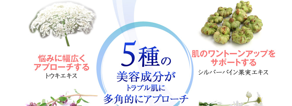 悩みに幅広くアプローチする「トウキエキス」　肌のワントーンアップをサポートする「シルバーバイン果実エキス」　5種の美容成分がトラブル肌に多角的にアプローチ