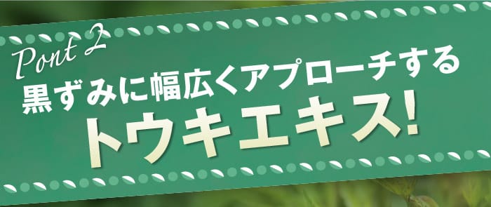 POINT2：黒ずみに幅広くアプローチする「トウキエキス」！