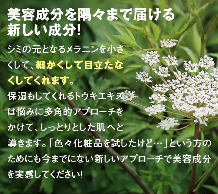 美容成分を隅々まで届ける新しい成分！　シミの元となるメラニンを小さくして、細かくして目立たなくしてくれます。保湿もしてくれるトウキエキスは悩みに多角的アプローチをかけて、しっとりとした肌へと導きます。「色々化粧品を試したけど…」という方のためにも今までにない新しいアプローチで美容成分を実感してください！