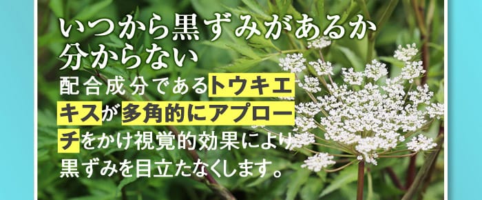 【いつから黒ずみがあるかわからない】→配合成分であるトウキエキスが多角的にアプローチをかけ視覚的効果により黒ずみを目立たなくします。